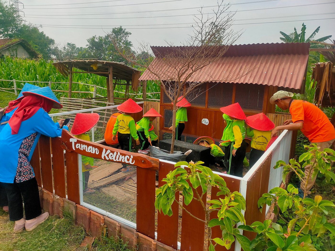 bermain-ke-taman-kelinci
